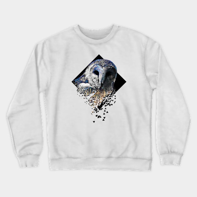 Cosmic owl Crewneck Sweatshirt by Prettielilpixie